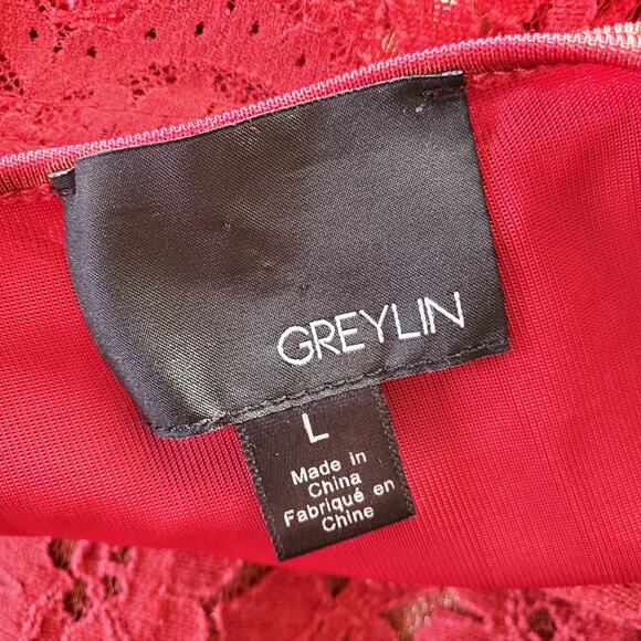 Anthropology Greylin Red Sleeveless V Neck Lace Dress L - Picture 6 of 10